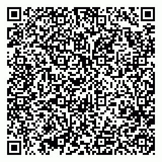 vCard 79393199300