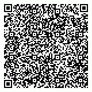 vCard 79393199400