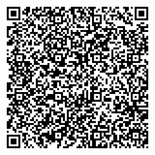 vCard 79395010313