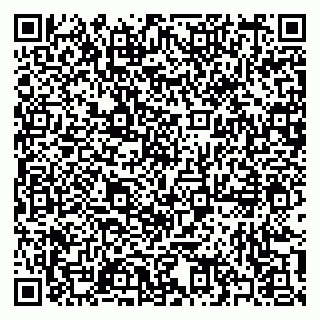 vCard 79397185013