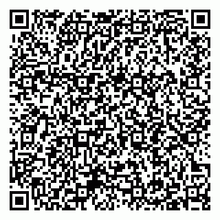 vCard 79397191739