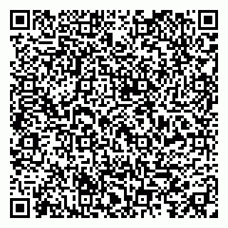 vCard 79399000173