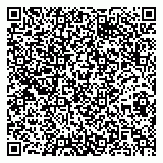 vCard 79399000181