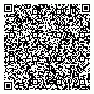 vCard 79399000873