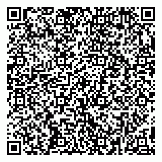 vCard 79399001739