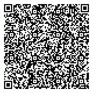 vCard 79410200041