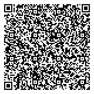 vCard 79410200399