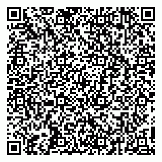 vCard 79410201321