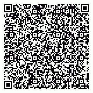 vCard 79410201328