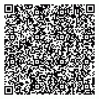 vCard 79410201373