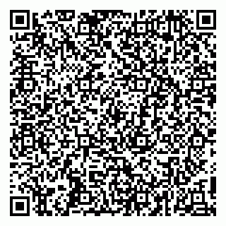 vCard 79410201379