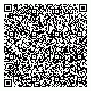 vCard 79410601131