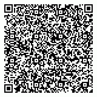 vCard 79410601132