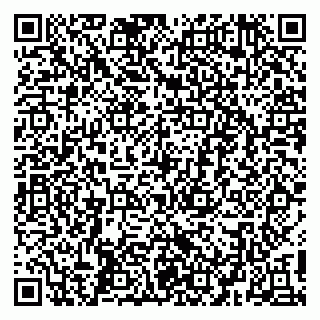 vCard 79410601181