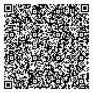 vCard 79410601291