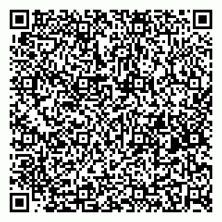vCard 79410601294
