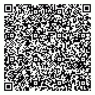 vCard 79410601297