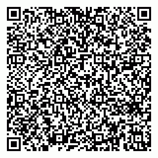 vCard 79410601303