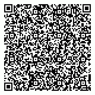 vCard 79410601305