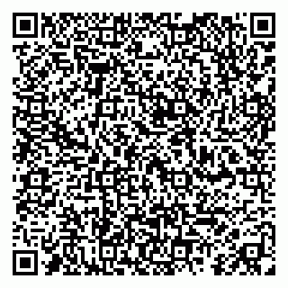 vCard 79410601313
