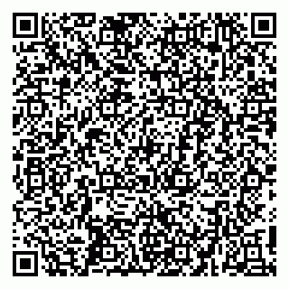 vCard 79410601315
