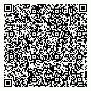 vCard 79410601317