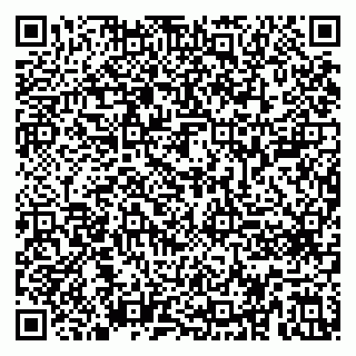vCard 79410601321