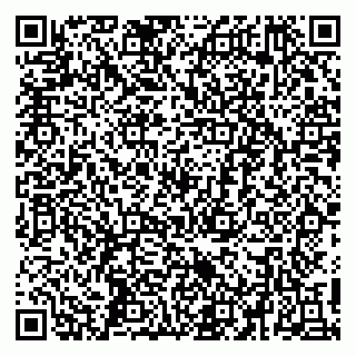 vCard 79410601322