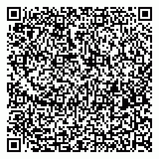 vCard 79410601327