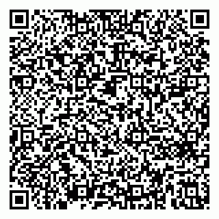 vCard 79410601331