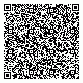 vCard 79410601333
