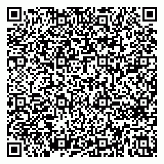 vCard 79410601339