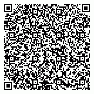 vCard 79410601363