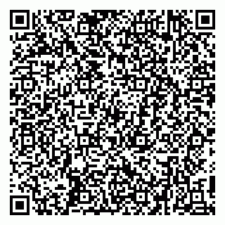 vCard 79410601373
