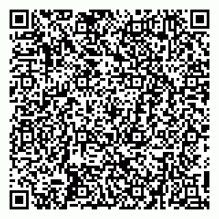 vCard 79410601374