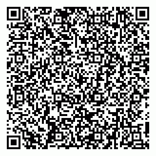 vCard 79410601377