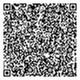 vCard 79410601381