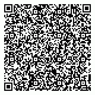 vCard 79410601383
