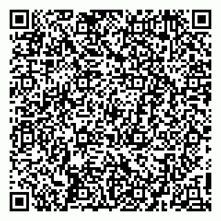 vCard 79410601389