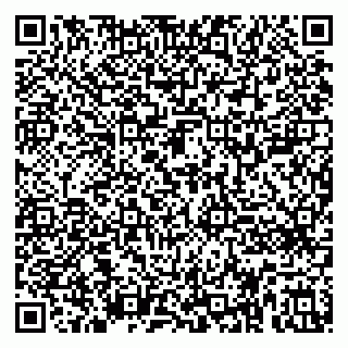 vCard 79410701019