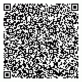 vCard 79410701033