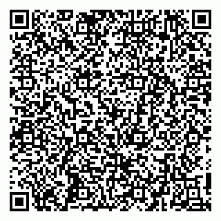 vCard 79410701307