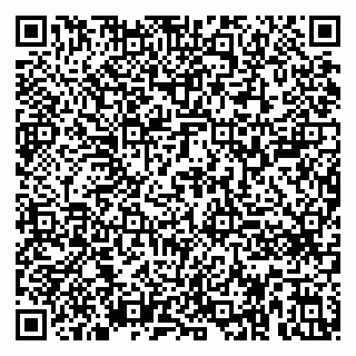 vCard 79410701313