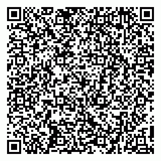 vCard 79410701319