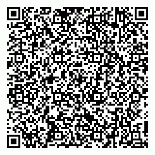 vCard 79410701323