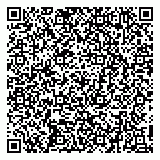 vCard 79410701324