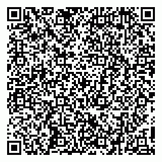 vCard 79410701329
