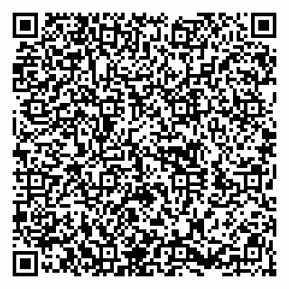 vCard 79410701331