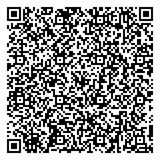 vCard 79410701334