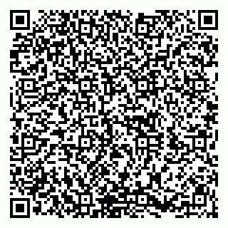 vCard 79410701335